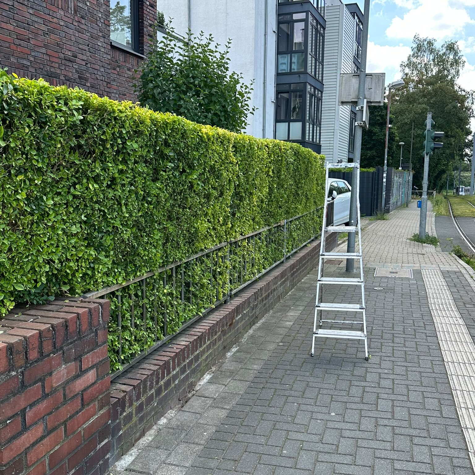Gartenarbeit-Hecke-schneiden